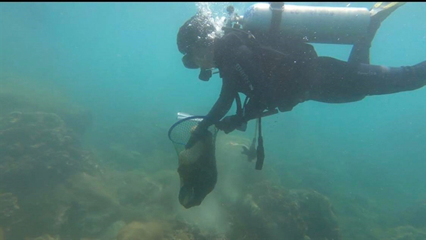 Coral population remains well protected off Cham Island