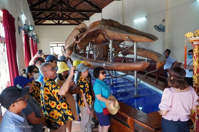 The largest whale skeleton in Vietnam