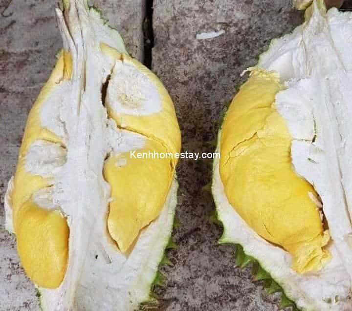 Top 9 Tien Giang fruit gardens cause fever, eat well without worrying about the price
