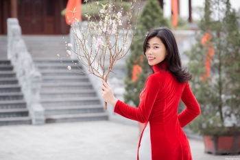 Blooming peach blossoms embellish beauty of Phin Ho village