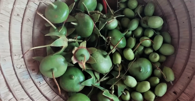 5 fruits reminiscent of the Western