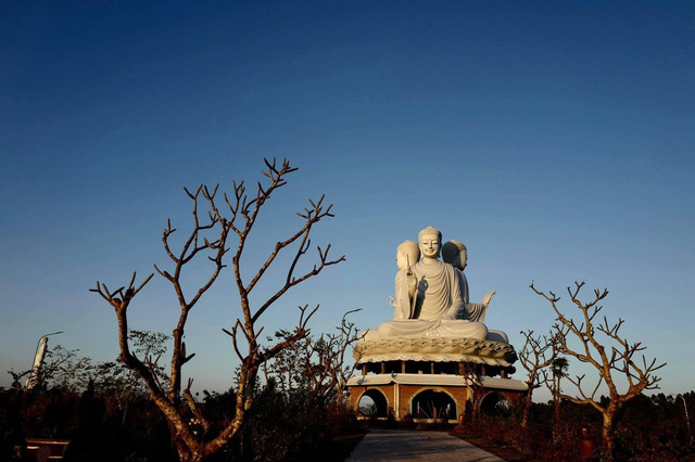A unique population of the Great Buddha at Thien Duc Park