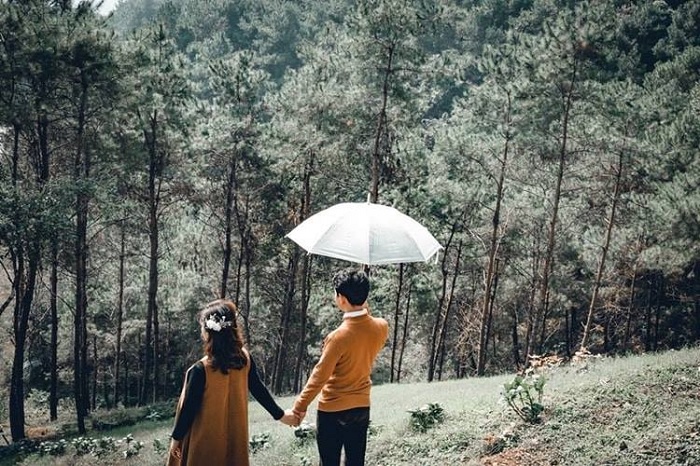 Expect to get lost in Dalat at Thien Son Thinh An Gia Cao Bang pine hill