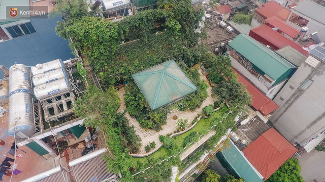 Flycam “forest” on the terrace of the woman in Hanoi: 200m2 wide, 1,500 lilies covered