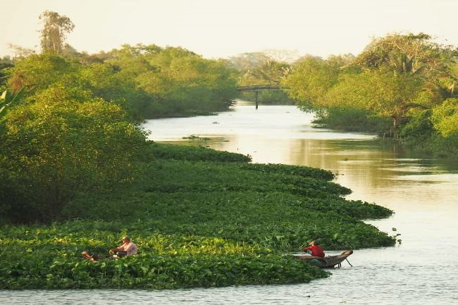 Fruit islands in Mekong Delta to explore
