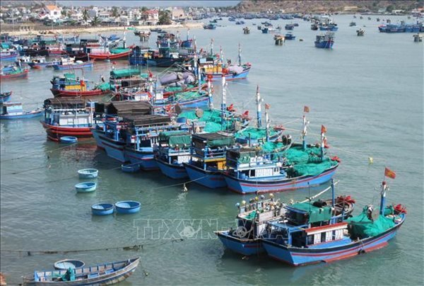 Government announces 25 sectors inaccessible to foreign investors
