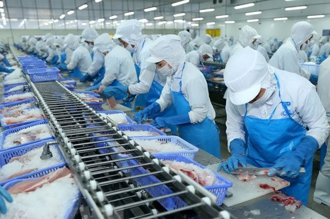 IMF projects Vietnam’s GDP growth at 6.5% this year