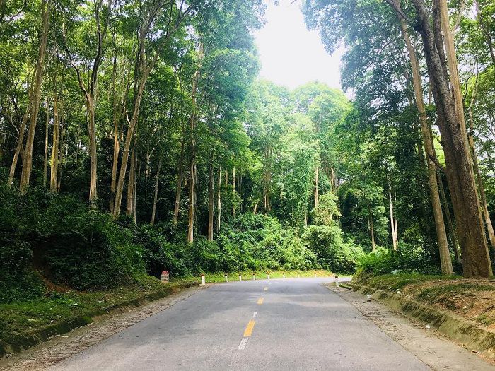 In April, Tuong Duong Nghe An odd gas forest “changed clothes” new, as beautiful as Europe
