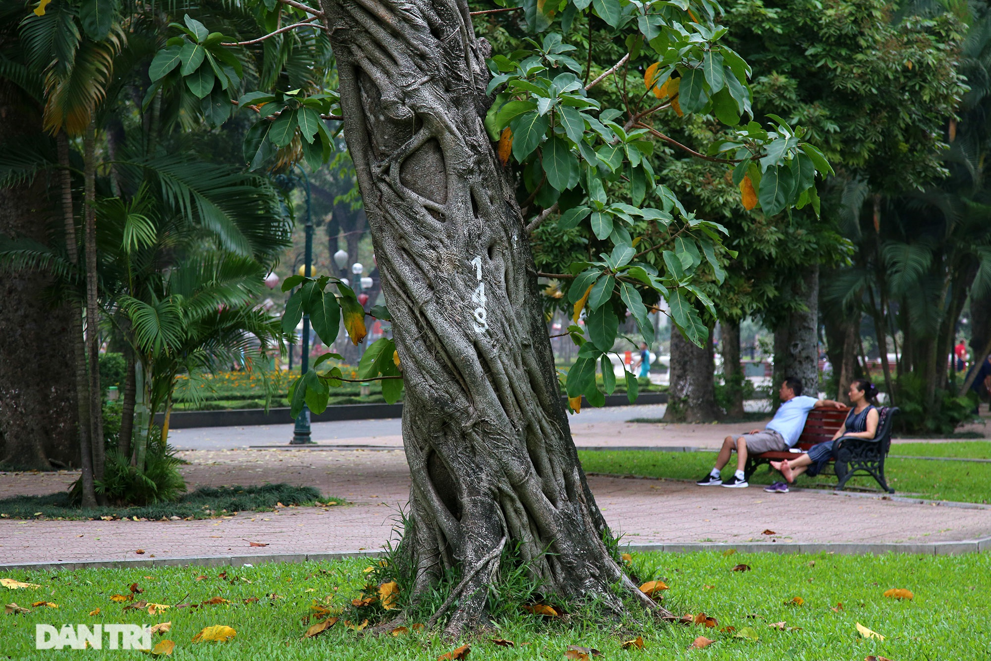 little-known-things-about-the-largest-park-in-hanoi-are-about-60-years