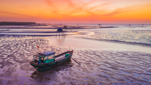 Marvel at the beauty of the “field” clam farming on Thai Binh beach ...