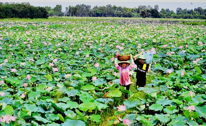 Embassy of Bulgaria funds a Vietnamese project of Lotus an opportunity for rural women s development