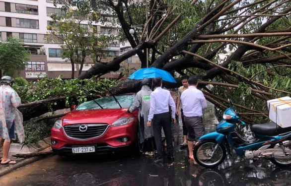 Rainy season to begin earlier but last shorter in southern Vietnam
