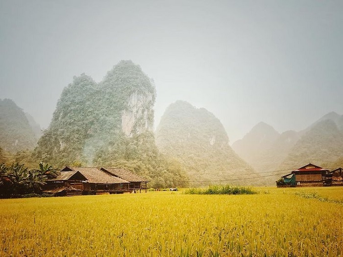 Phia Thap Incense Village (Cao Bang)