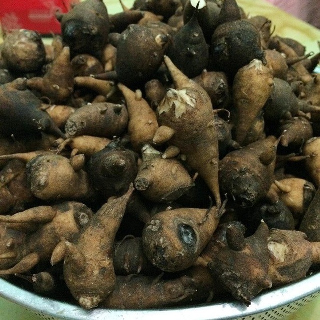 Strangely, the “poisoned” porridge was only eaten at night, the bitter taste in Ha Giang