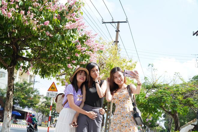 The road more than 2 km in brilliant purple flowers with mausoleum: Young people check-in