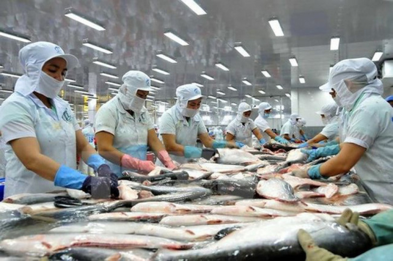 Vietnam s Pangasius exports increase by 0 6 in first quarter of 2021