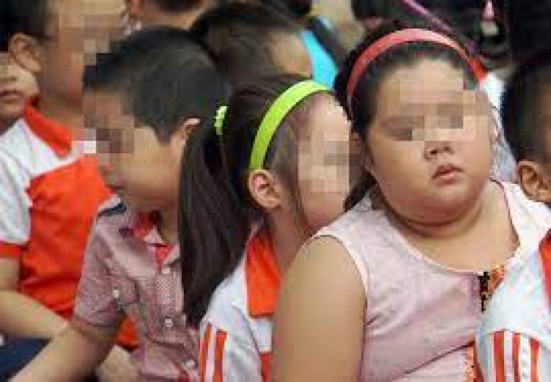 Child obesity at alarming levels in Vietnam » Vietnam News - Latest ...