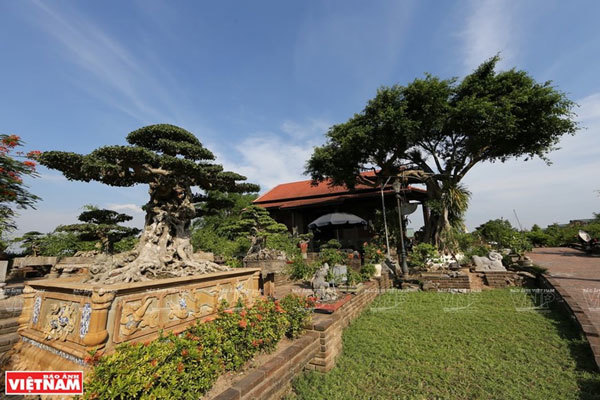 Hong Van bonsai village on Hanoi’s outskirts