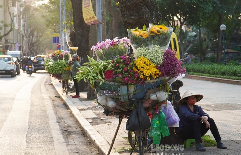 In Photos 300 year old Hoa Bun tree gorgeously blooms in the heart of Hanoi