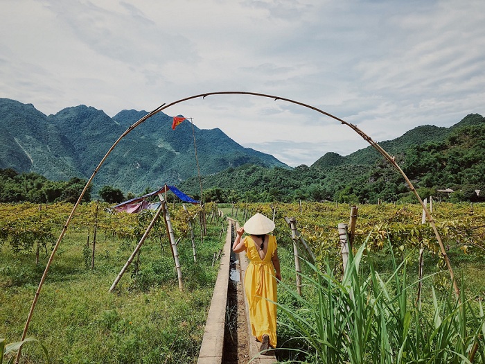 Mai Chau travel experience: Time, travel, play