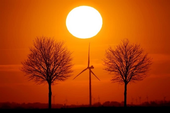 2020 was Europe's hottest year on record - EU scientists