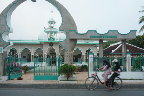 About An Giang: Confused with palm trees in the field