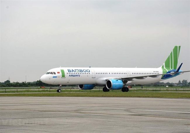 Birds cause cancellation of flights on Con Dao