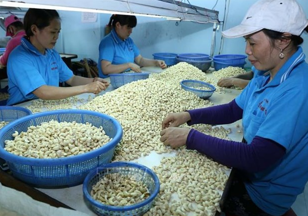 Poland market offers ample room for Vietnamese farm produce and food