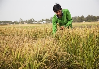 VIETNAM BUSINESS NEWS MAY 11