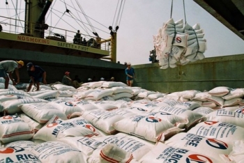 Vietnam enjoys US 3 27 billion trade surplus in agro forestry fishery