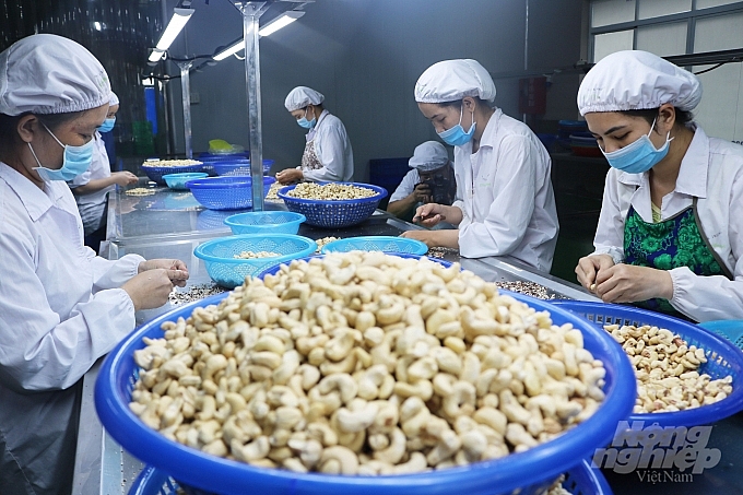 Vietnam s recovery expectation ranks second in ASEAN in agri food industry