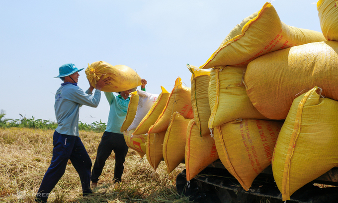 Vietnam s rice exporters urged to utilize FTAs to boost shipments