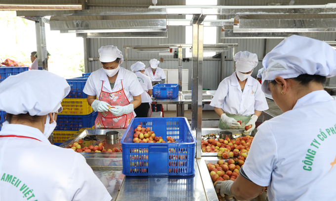 Vietnamese exporters to have greater opportunities in the U S market
