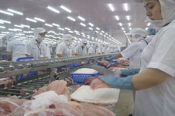 HCMC should delay seaport fee collection: VASEP