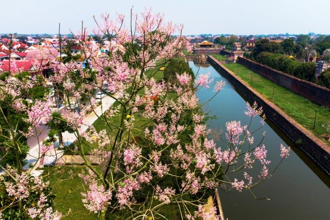 Imperial city tinted with pink