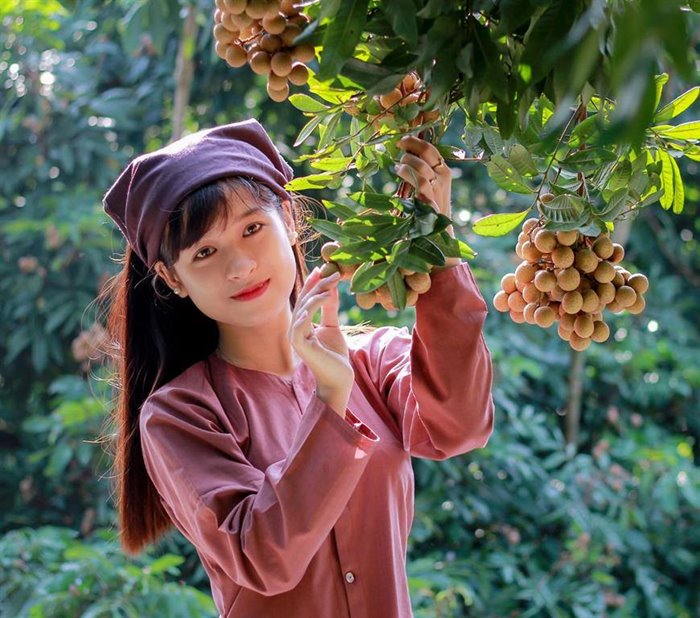 Khoai Chau tourism – a cultural land full of sweet and fragrant flowers