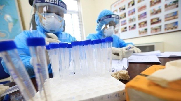 COVID-19: No new cases reported over past 12 hours