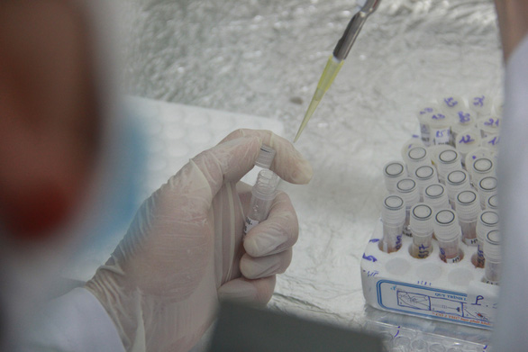 Eight more local coronavirus infections logged in Vietnam