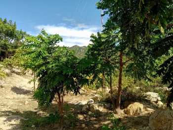 Green Climate Fund offers US 30 2 million to strengthen Vietnam s climate change resilience