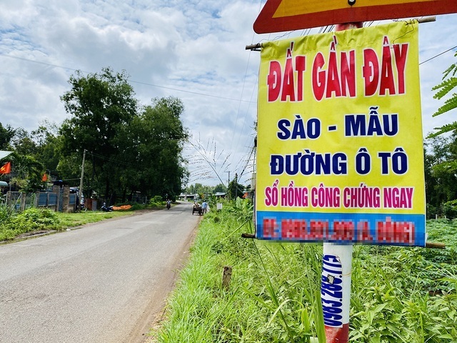 'Land fever' harming the economy: experts