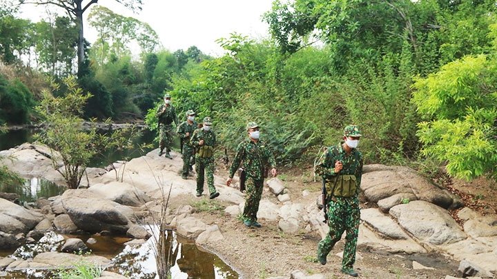 Prevention of and fight against COVID-19 epidemic at the border