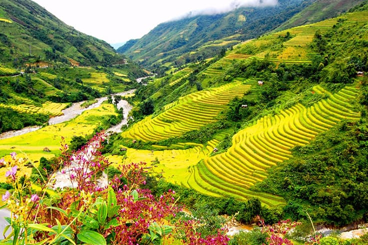Forbes Vietnam is one of top 5 most visited destination in Southest Asia