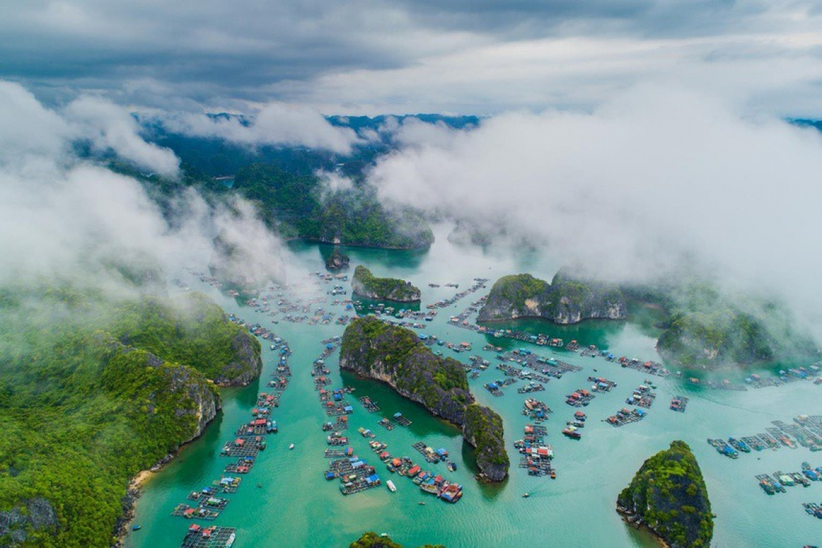 Halong Bay recognized as World Heritage Site the second time » Breaking News, Latest World News Updates - VietReader Viet Nam