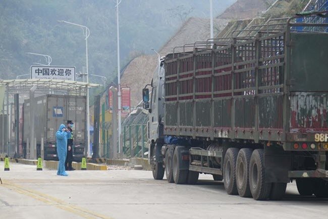 Vietnam suggests China exempt Vietnam's frozen products from Covid-19 tests