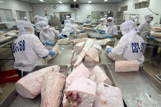 Vietnam’s April tuna exports skyrocket