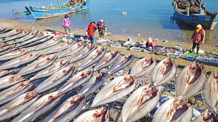 U S blocks seafood from Chinese fleet suspecting of forced labor with crew