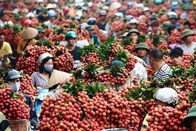 Agriculture ministry seeks six ministries’ help in boosting farm produce consumption