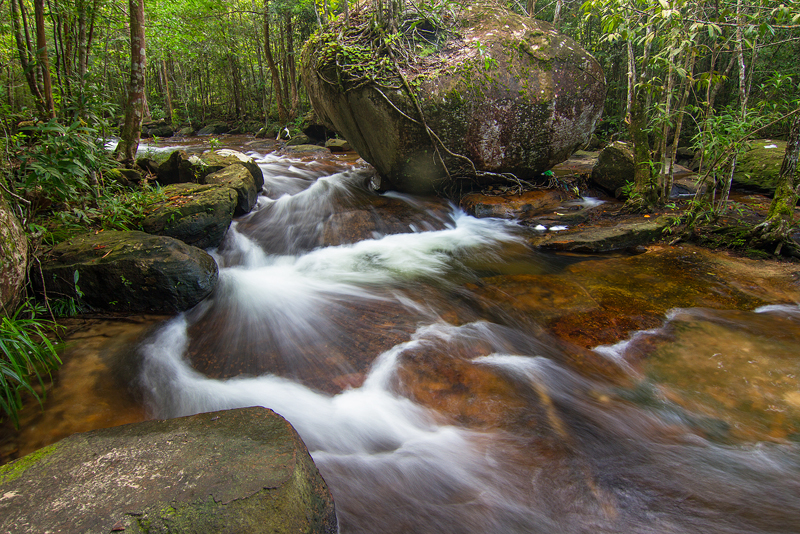 Beautiful springs in Phu Quoc – low notes in the middle of the vibrant Pearl Island