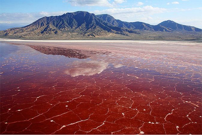 bright red lake natron