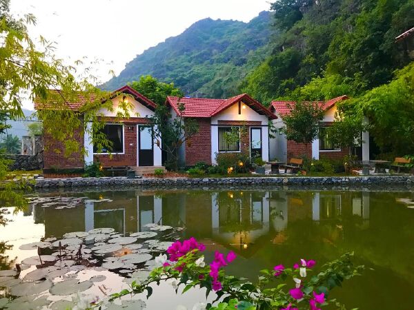 Top 9 Best Homestay views in Ninh Binh